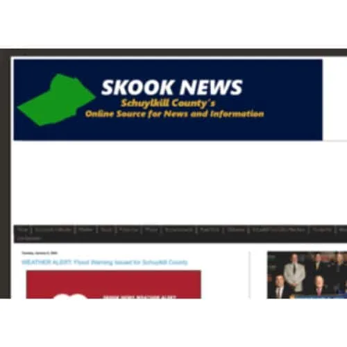 Examining the Dashboard of Skook News Website A Detailed Guide