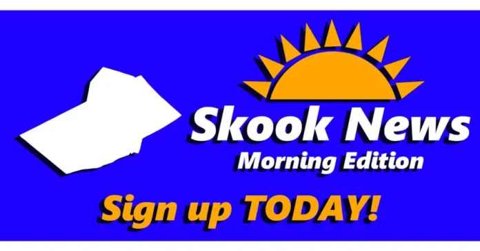 Skook News: A Detailed Overview of the Website